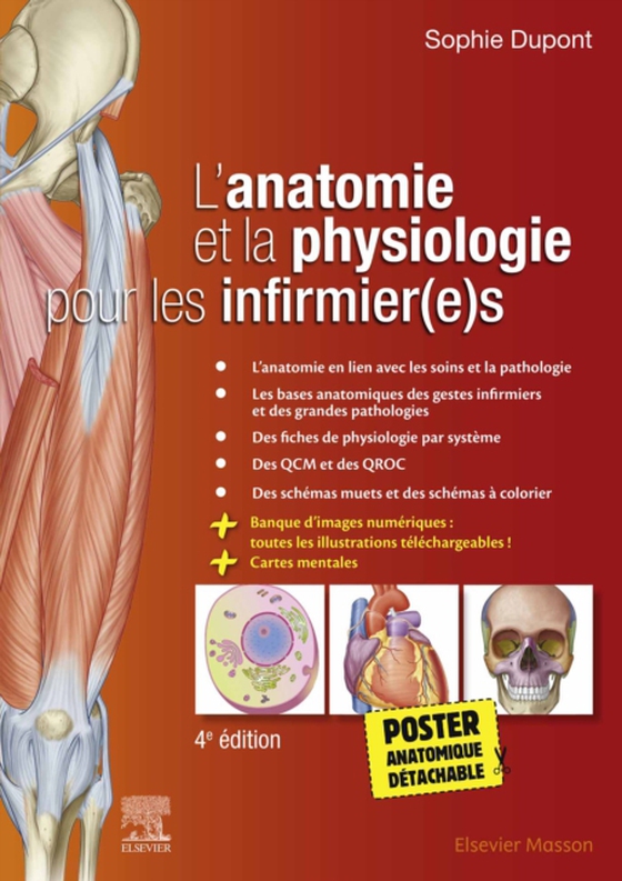 L'anatomie et la physiologie pour les infirmier(e)s (e-bog) af Dupont, Sophie