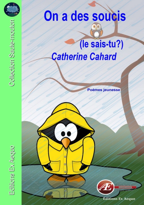 On a des soucis (e-bog) af Cahard, Catherine