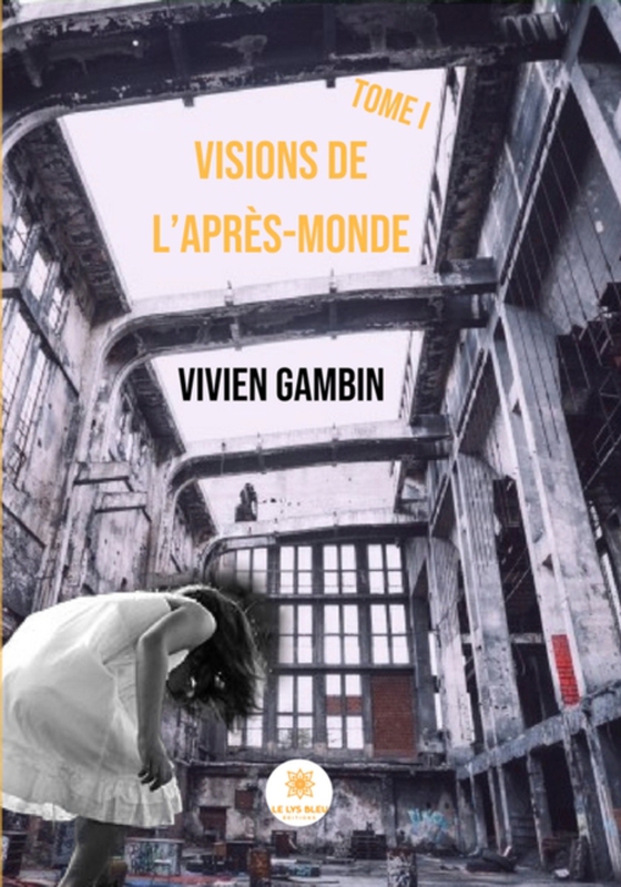 Visions de l'Après-Monde (e-bog) af Gambin, Vivien