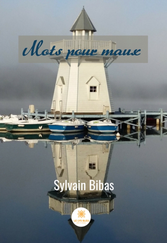 Mots pour maux (e-bog) af Bibas, Sylvain