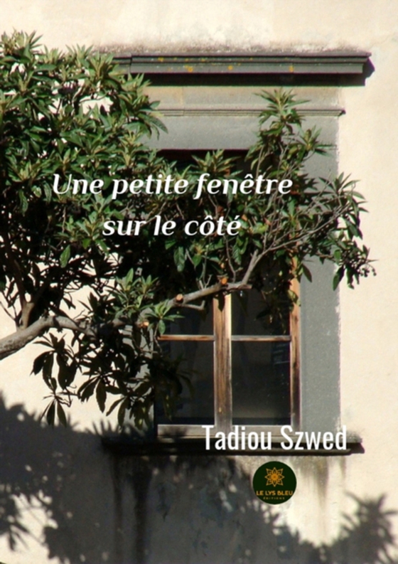 Une petite fenêtre sur le côté (e-bog) af Szwed, Tadiou