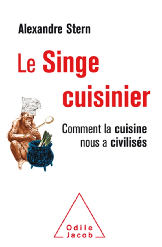 Le Singe cuisinier (e-bog) af Alexandre Stern, Stern