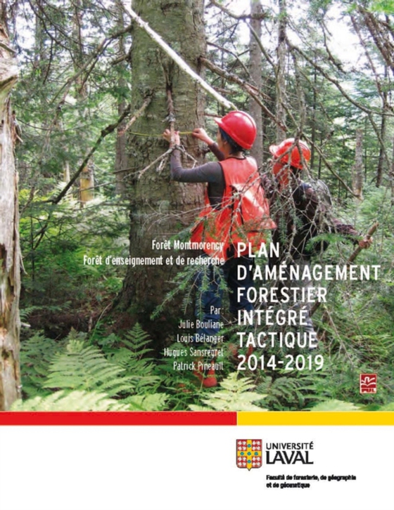 Plan d'amenagement forestier integre tactique 2014-2019 Forê (e-bog) af Julie Bouliane, Bouliane