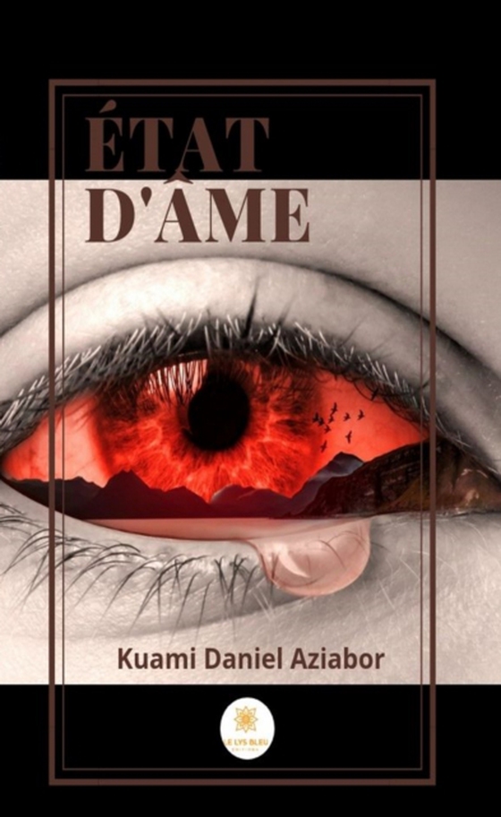 État d'âme (e-bog) af Aziabor, Kuami Daniel