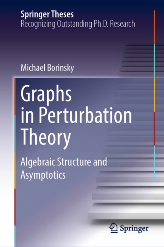 Graphs in Perturbation Theory (e-bog) af Borinsky, Michael