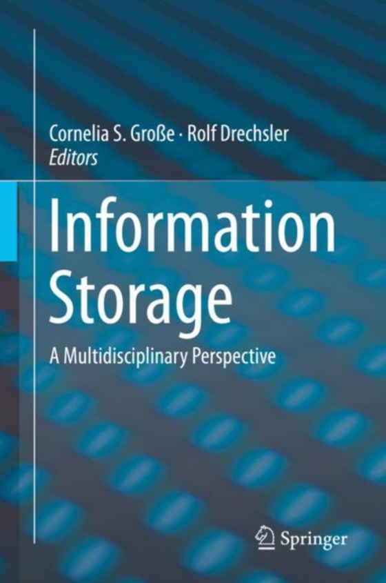 Information Storage (e-bog) af -