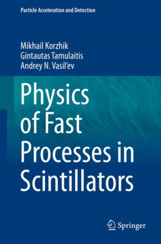 Physics of Fast Processes in Scintillators (e-bog) af Vasil'ev, Andrey N.