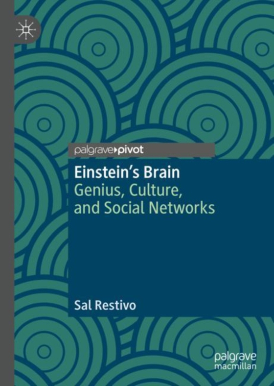 Einstein's Brain  (e-bog) af Restivo, Sal