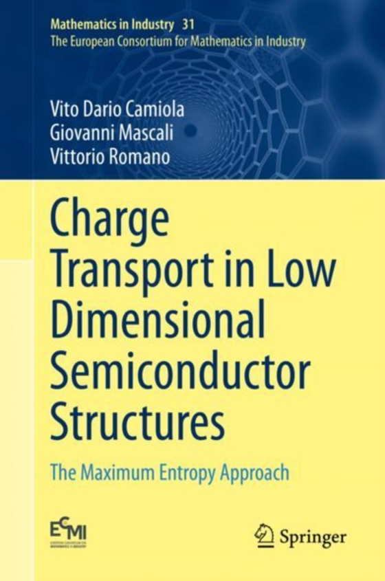 Charge Transport in Low Dimensional Semiconductor Structures (e-bog) af Romano, Vittorio