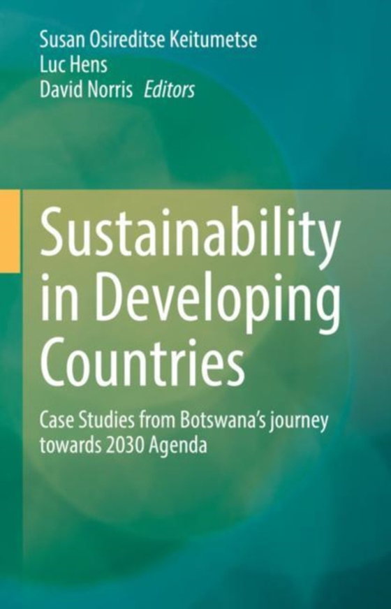 Sustainability in Developing Countries (e-bog) af -