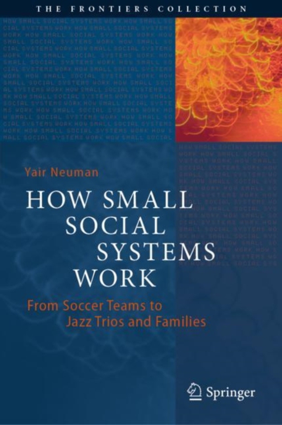 How Small Social Systems Work (e-bog) af Neuman, Yair