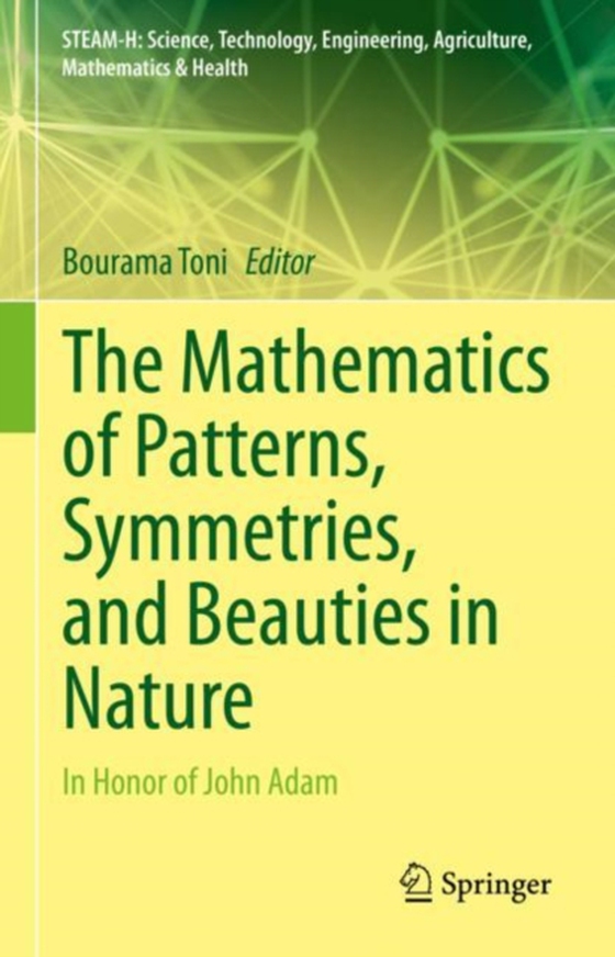 Mathematics of Patterns, Symmetries, and Beauties in Nature (e-bog) af -