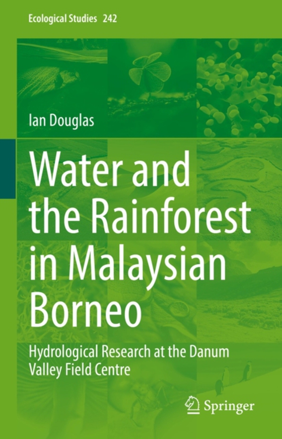 Water and the Rainforest in Malaysian Borneo