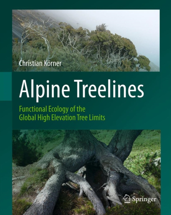 Alpine Treelines (e-bog) af Korner, Christian