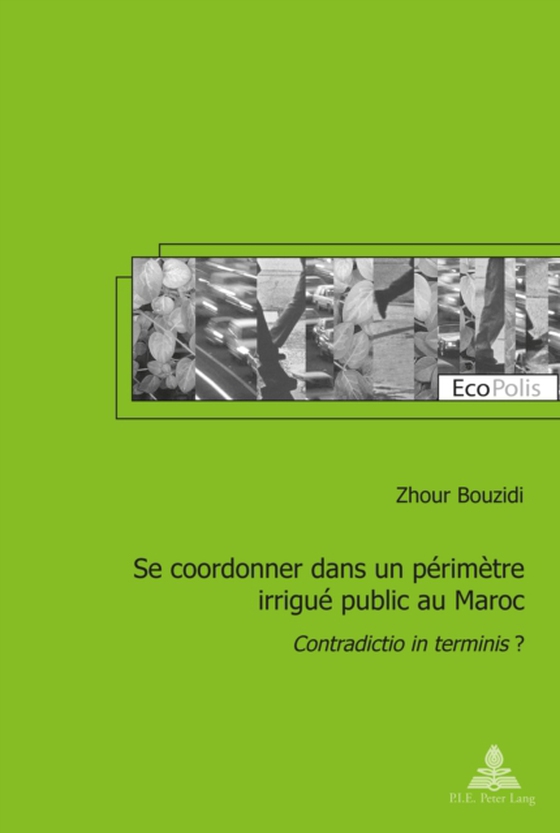 Se coordonner dans un périmètre irrigué public au Maroc (e-bog) af Zhour Bouzidi, Bouzidi