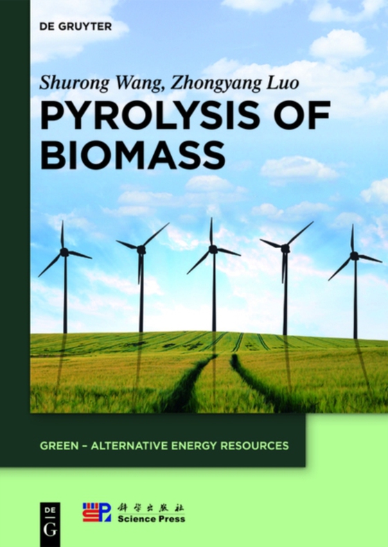 Pyrolysis of Biomass (e-bog) af Luo, Zhongyang