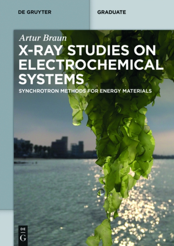 X-Ray Studies on Electrochemical Systems (e-bog) af Braun, Artur