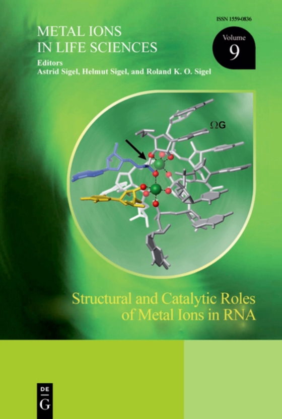 Structural and Catalytic Roles of Metal Ions in RNA (e-bog) af -