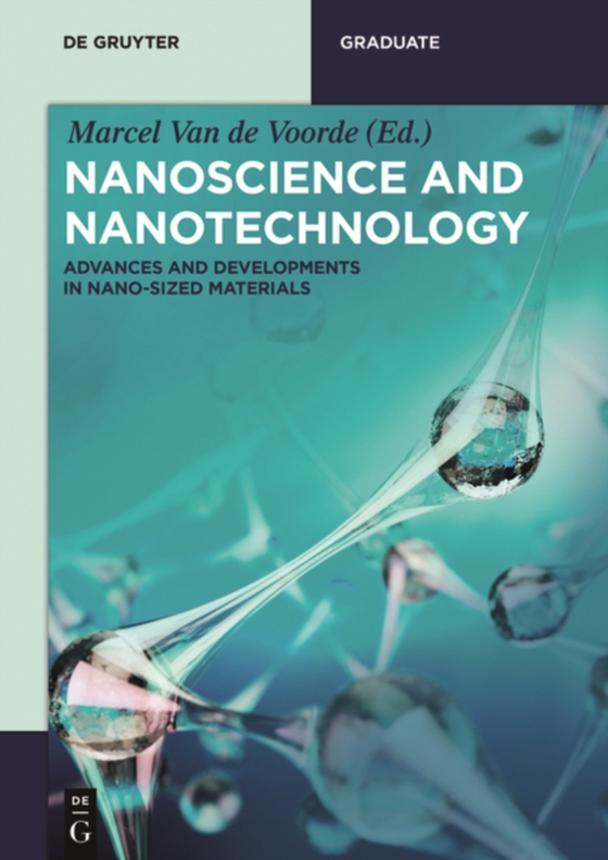 Nanoscience and Nanotechnology (e-bog) af -