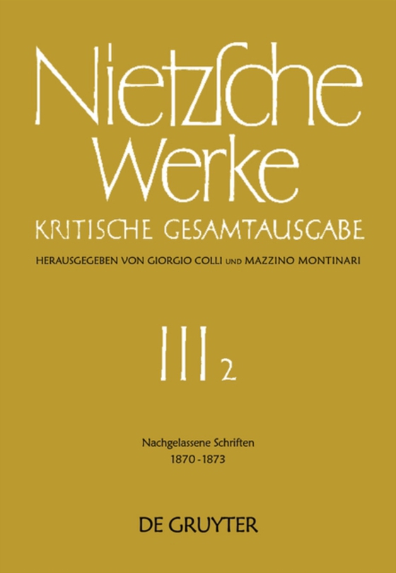 Nachgelassene Schriften 1870 - 1873