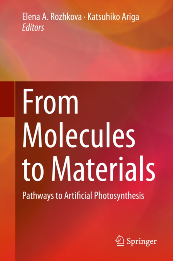 From Molecules to Materials (e-bog) af -