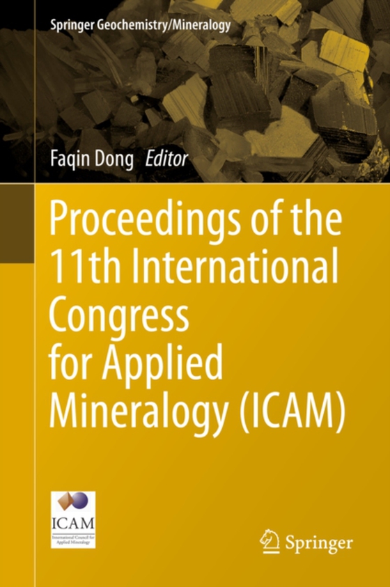 Proceedings of the 11th International Congress for Applied Mineralogy (ICAM) (e-bog) af -