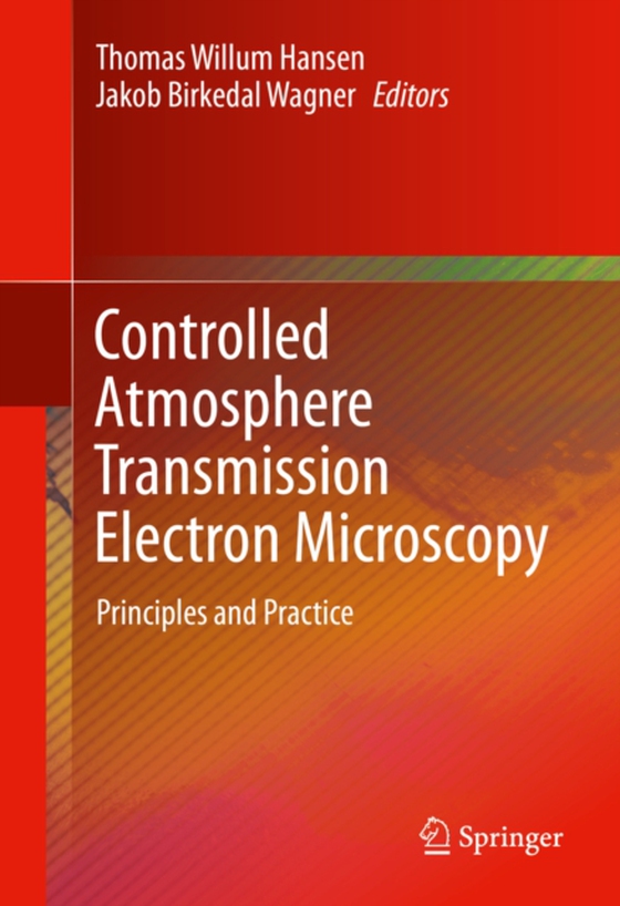 Controlled Atmosphere Transmission Electron Microscopy (e-bog) af -