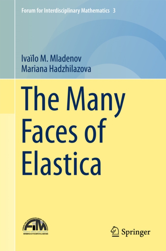 Many Faces of Elastica (e-bog) af Hadzhilazova, Mariana