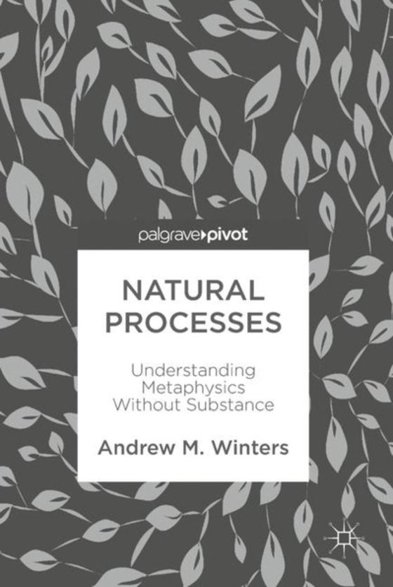 Natural Processes (e-bog) af Winters, Andrew M.