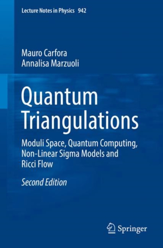 Quantum Triangulations (e-bog) af Marzuoli, Annalisa