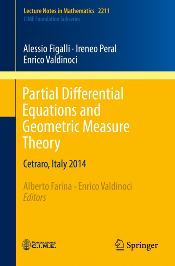 Partial Differential Equations and Geometric Measure Theory (e-bog) af Valdinoci, Enrico