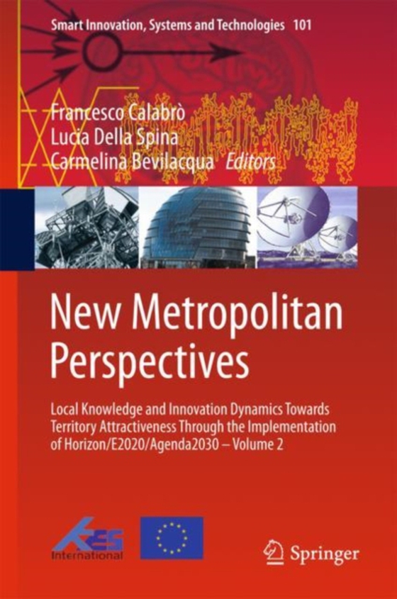 New Metropolitan Perspectives (e-bog) af -