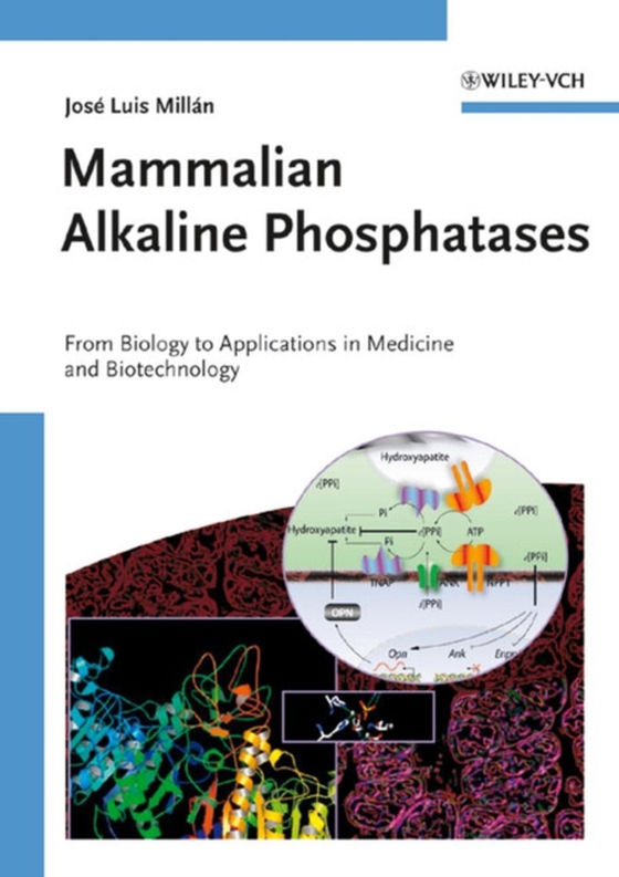 Mammalian Alkaline Phosphatases (e-bog) af Millan, Jos Luis