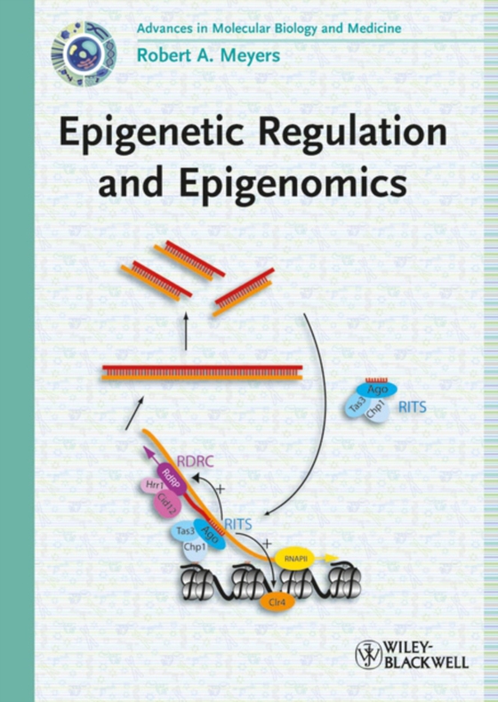 Epigenetic Regulation and Epigenomics (e-bog) af -