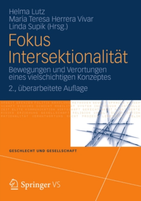 Fokus Intersektionalität (e-bog) af -