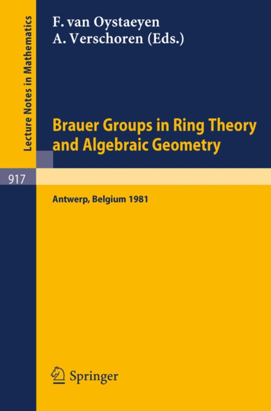 Brauer Groups in Ring Theory and Algebraic Geometry (e-bog) af -