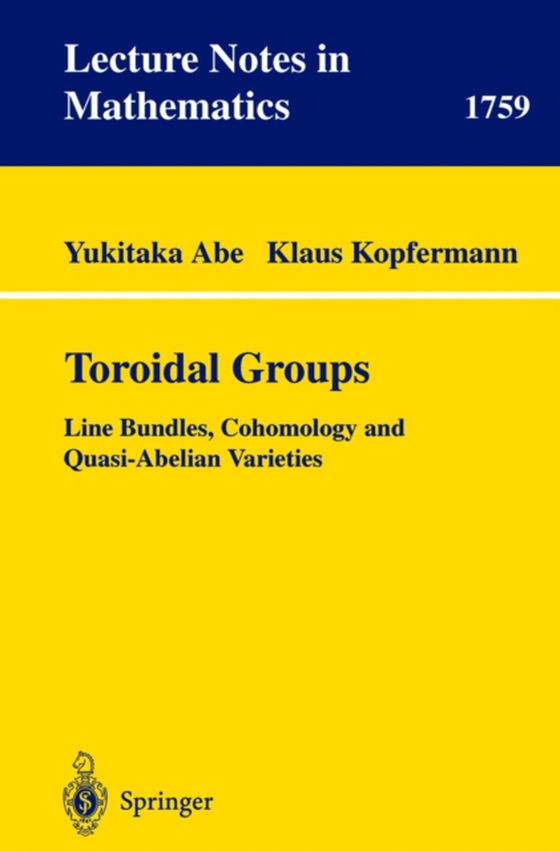 Toroidal Groups (e-bog) af Kopfermann, Klaus