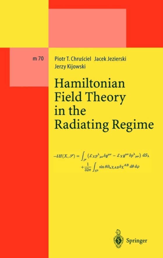 Hamiltonian Field Theory in the Radiating Regime (e-bog) af Kijowski, Jerzy