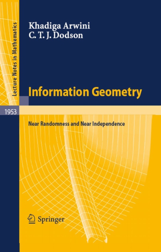 Information Geometry (e-bog) af Dodson, C. T. J.