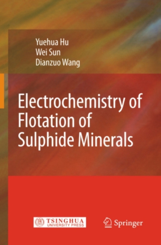 Electrochemistry of Flotation of Sulphide Minerals (e-bog) af Wang, Dianzuo