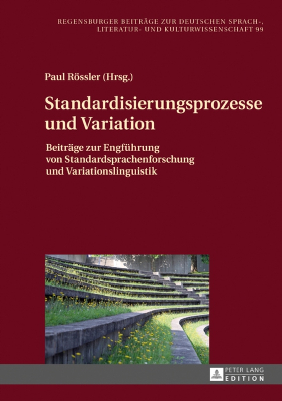 Standardisierungsprozesse und Variation (e-bog) af -