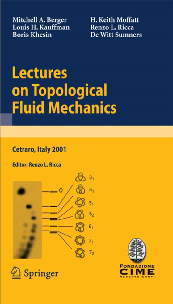 Lectures on Topological Fluid Mechanics (e-bog) af Sumners, De Witt