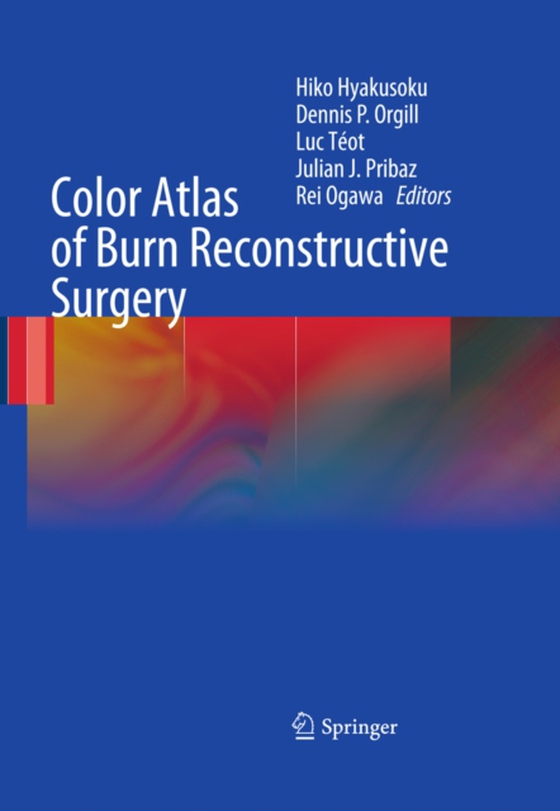 Color Atlas of Burn Reconstructive Surgery (e-bog) af -