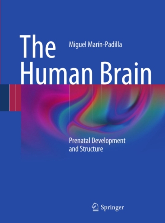 Human Brain (e-bog) af Marin-Padilla, Miguel