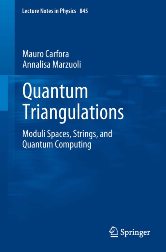 Quantum Triangulations (e-bog) af Marzuoli, Annalisa