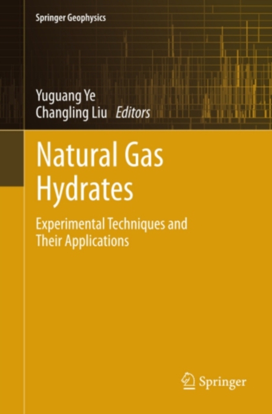 Natural Gas Hydrates (e-bog) af -