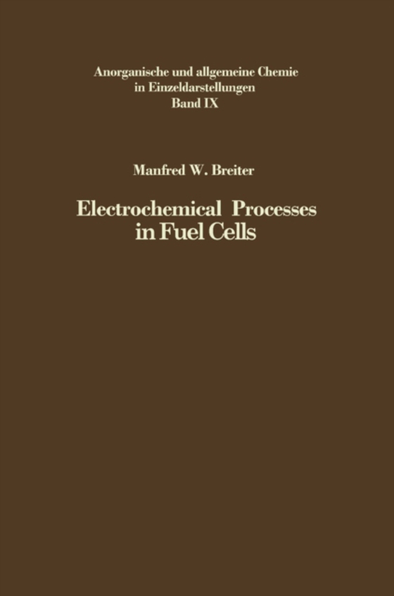 Electrochemical Processes in Fuel Cells