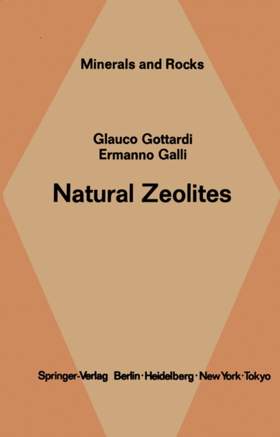 Natural Zeolites (e-bog) af Galli, E.