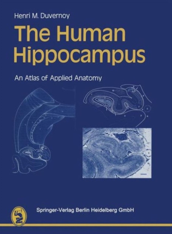 Human Hippocampus