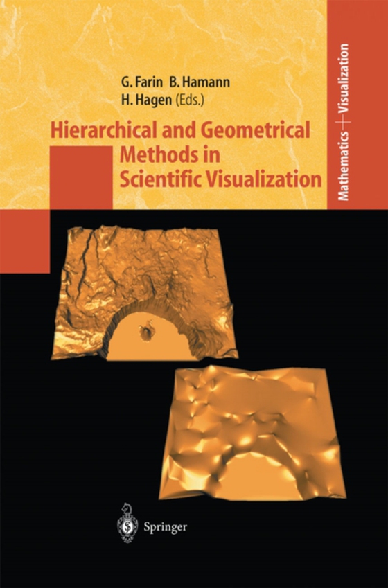 Hierarchical and Geometrical Methods in Scientific Visualization (e-bog) af -